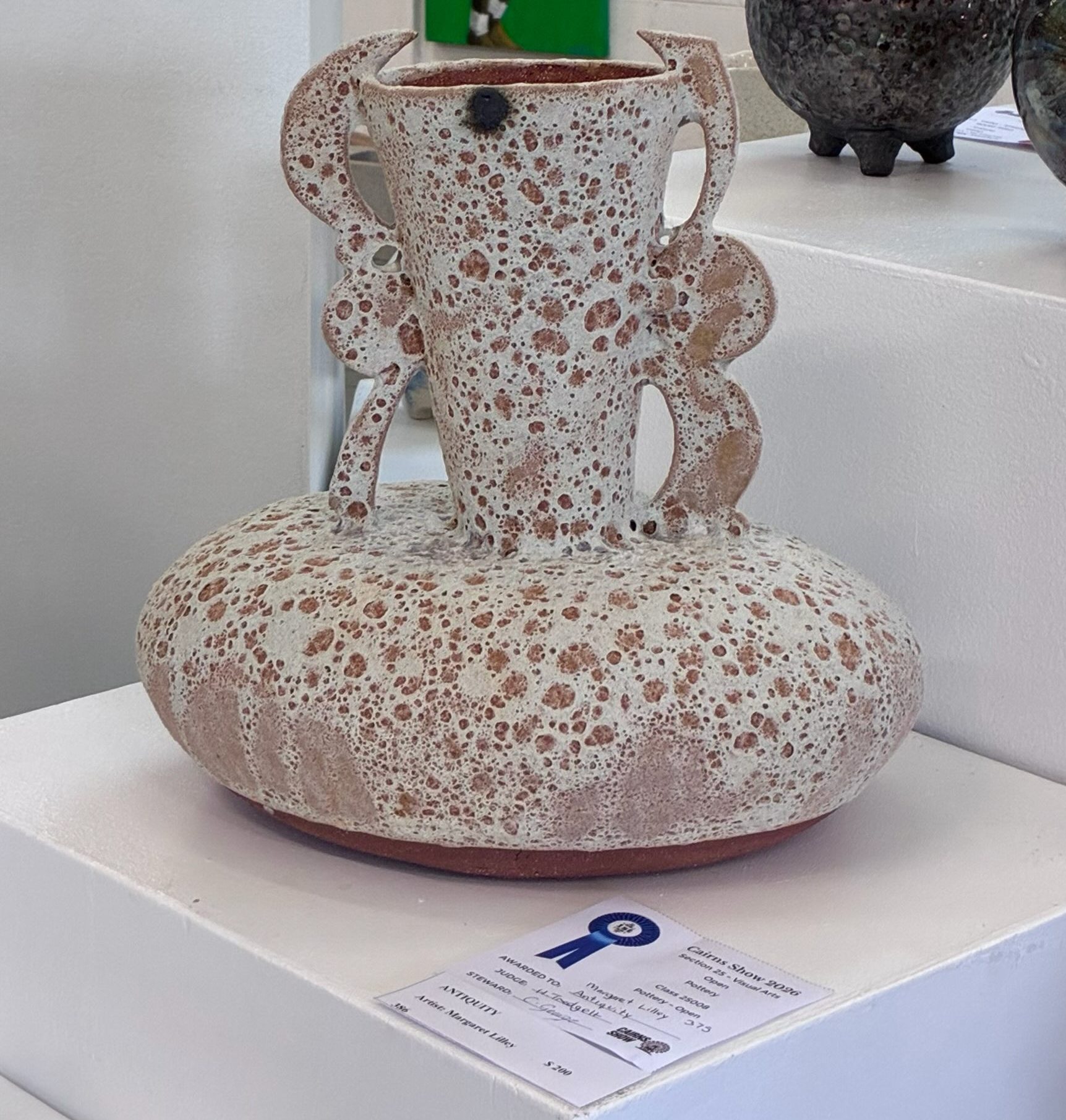 First Prize at the 2026 Cairns Show